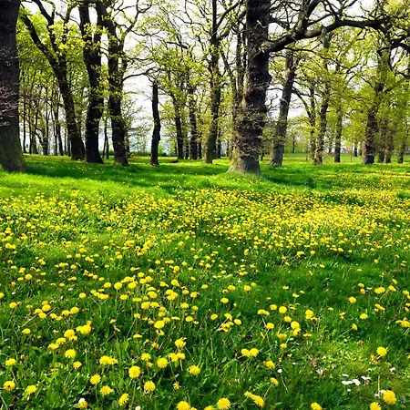Διαμέρισμα Ostsee Residenz Meeresblick Strandjuwel *