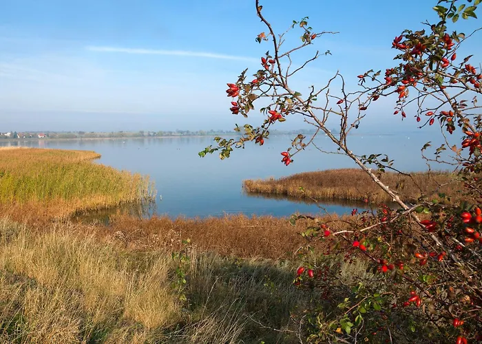 Ostsee Residenz Meeresblick Strandjuwel شقة *